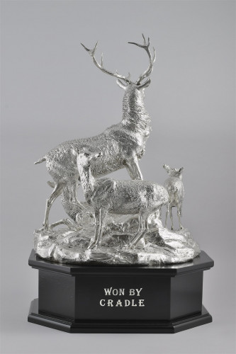 The Royal Hunt Cup, Ascot 1877