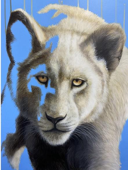 Louise McNaught