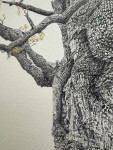 The Majesty Oak 24k - Framed