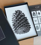 Carpological Collection Box Set
