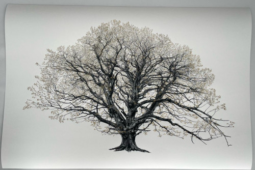 The King Beech (Medium) 22k SE - Framed