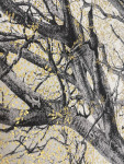 The King Beech (Medium) 22k SE - Framed