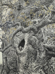 The Majesty Oak 24k (Large) - Framed