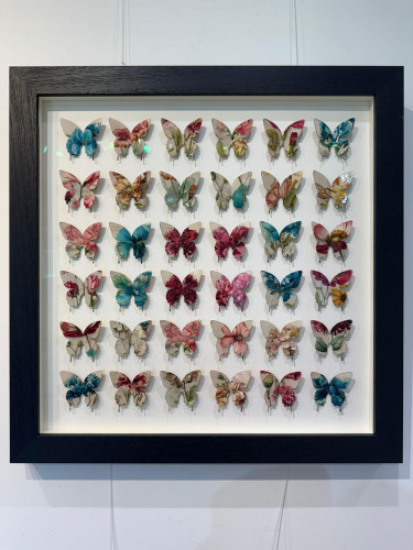 Papollion Botanique - Framed