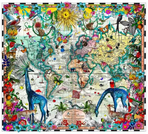 Giraffa Discoveries Of The World - Framed
