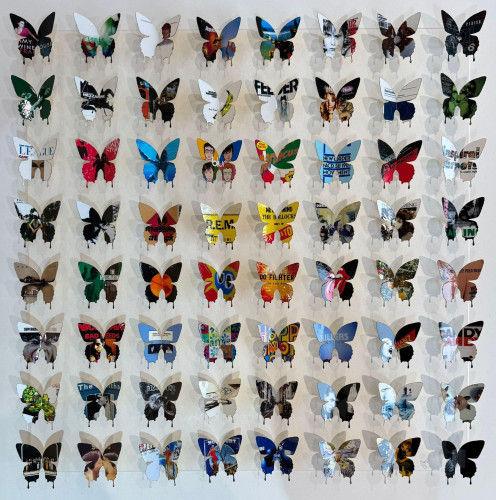 Rock 'N' Roll Butterflies (64) - Framed