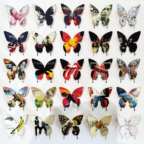 Rock 'N' Roll Butterflies 2 - Framed