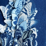 Love Among The Butterflies Study (Ode to Margaret Fountaine) - Framed