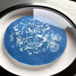 Rare And Wondrous Things (Ode to Maria Merian) - Framed