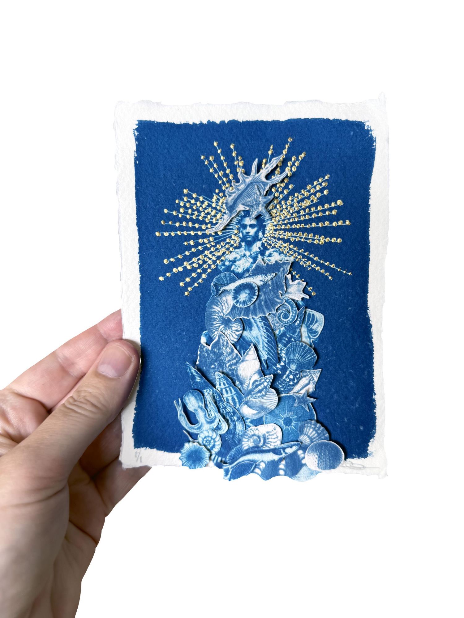 Symphony of the Sea (Rachel Carson's Love Letter) - Framed