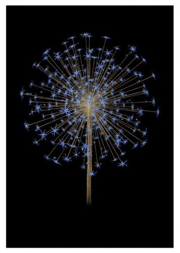 Fleur De Vie - Midnight Blue - Framed