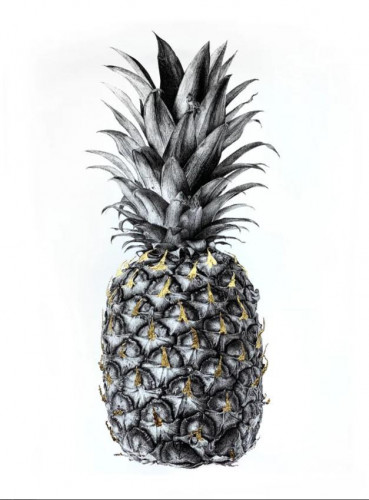 Rainforest Rewild SE Gold A2 - Framed