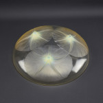 Rene Lalique Amber opalescent Volubilis bowl