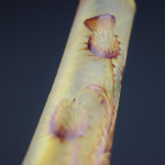 Daum cameo glass thistle vase thistle C1900