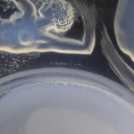 Rene Lalique opalescent Ondines glass bowl