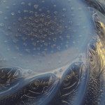 Rene Lalique Poissons Coupe Ouverte No1