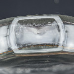 Rene Lalique Pavot perfume bottle with box