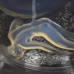 Rene Lalique opalescent Ondines plate