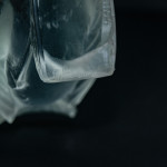 Rene Lalique Moineau hardi paperweight