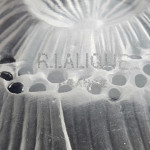 Rene Lalique Anemone ouverte flower paperweight