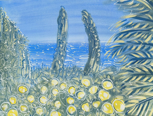 Donabo Gardens Tangier