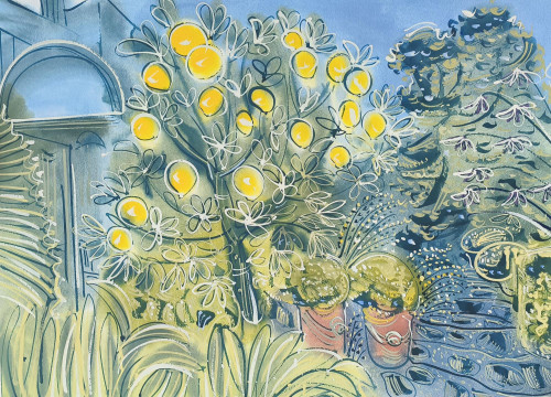 Donabo Gardens Tangier