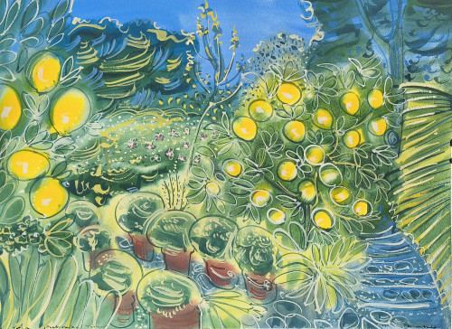 Lemons at Villa Mabrouka