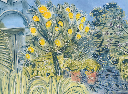 Garden at Villa Mabrouka