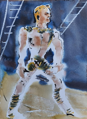 From Cirque du Soleil