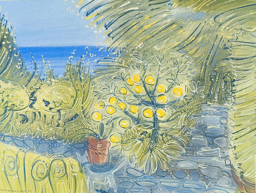 Lemons at Villa Mabrouka