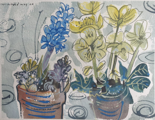 Hyacinth and winter rose