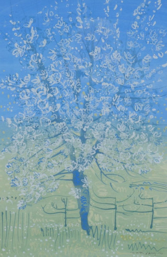 Blossoming Prunus at Richelieu