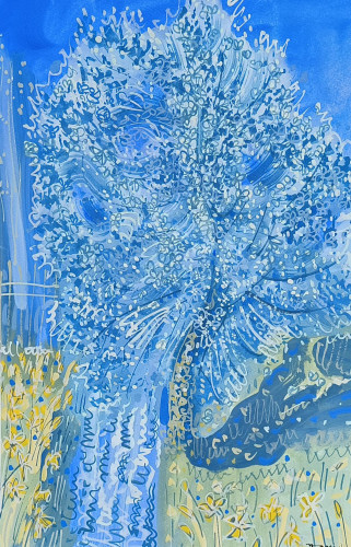 Spring Blossom at St Jean