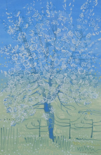 Blossoming Prunus at Richelieu