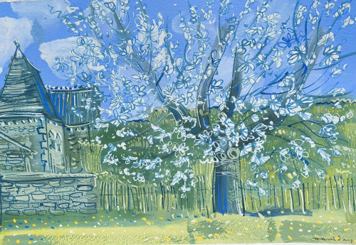 Spring Blossom,  Michel's Garden