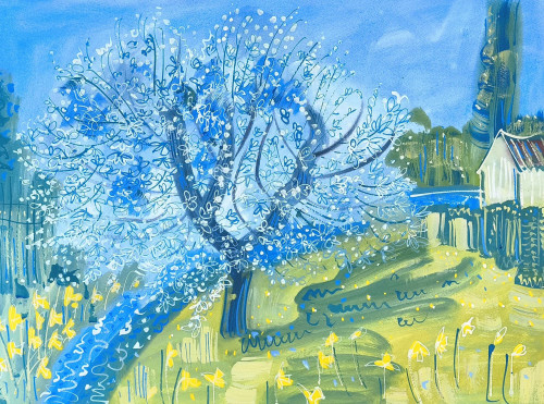 Apple Blossom at St Jean de sauves