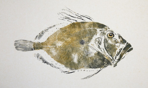 John Dory