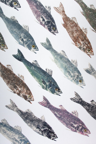 Sea Bass Diving Shoal