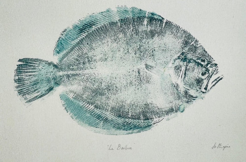 The Brill / Le Barbue