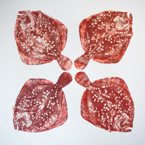 Turbot (red)
