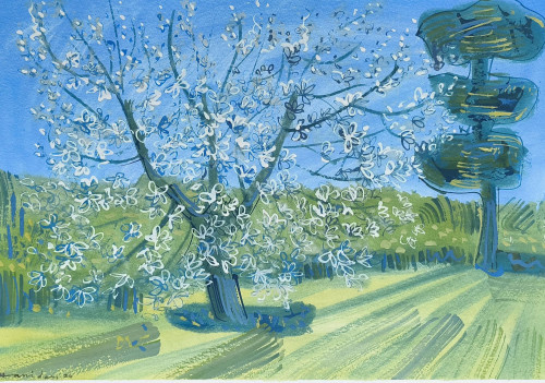 Spring Blossom in Michel's Garden