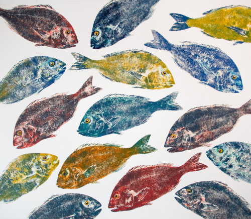 Poissons Multicolores