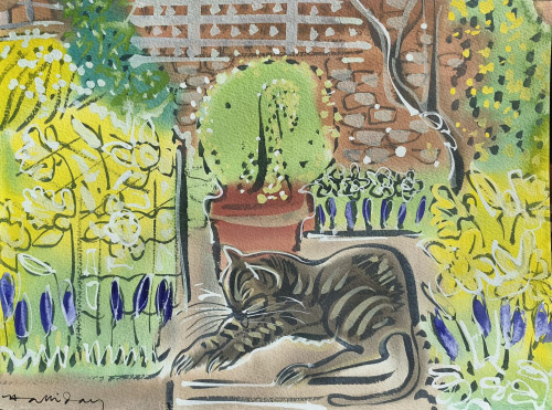 Sleeping Cat