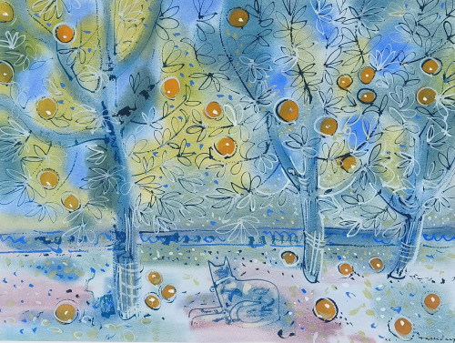 Orange Grove with Cat