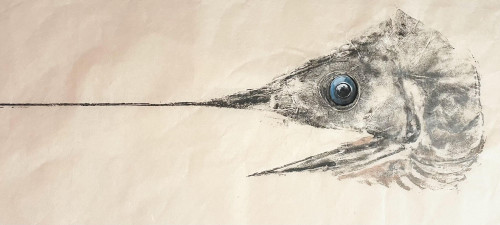 Swordfish