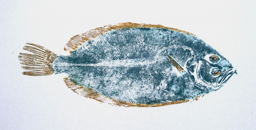 Sole Limande