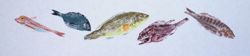 Soupe de Poissons II