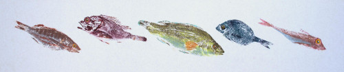 Soupe de Poissons