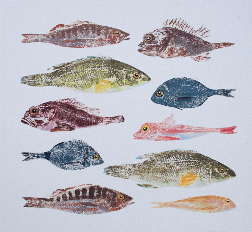 Poissons des Roches