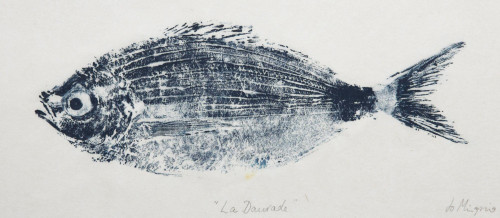 Daurade / Bream
